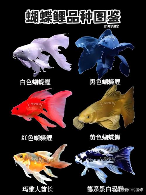 微鲤看看靠谱吗