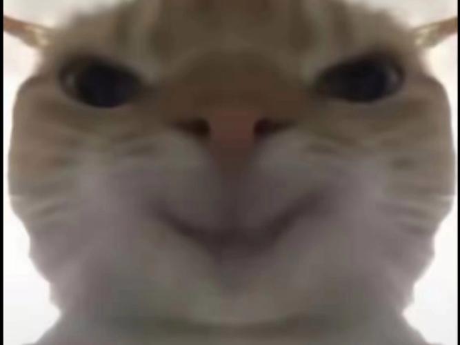 地铁逃生老鼠的表情包