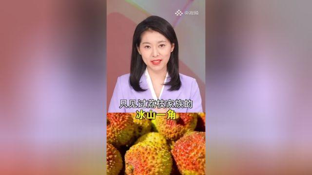 荔枝新闻视频截图3