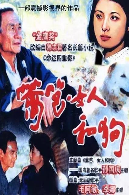 狗和女人电视剧免费观看