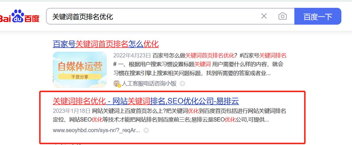 百度关键词优化软件排名