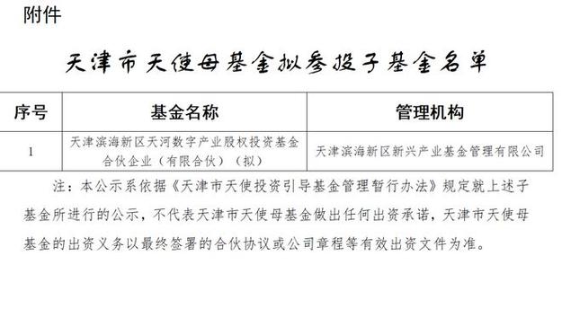 投资基金用于参股设立子基金