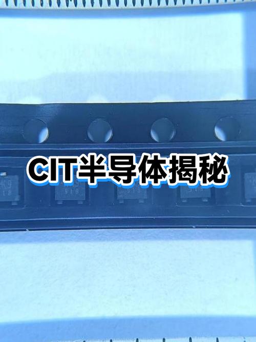 CIT的中文全称