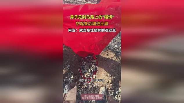 马路上的猫饼截图2