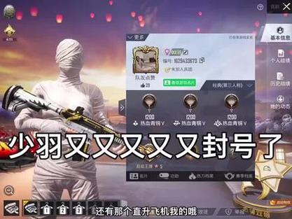 少羽和平精英名字