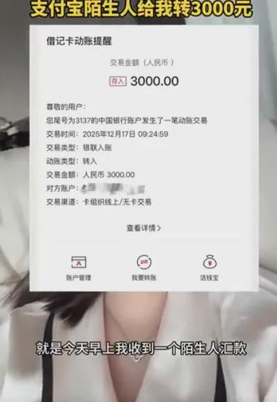 支付宝大额转账多久到账截图3