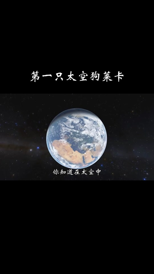 太空狗莱卡漂到哪里了