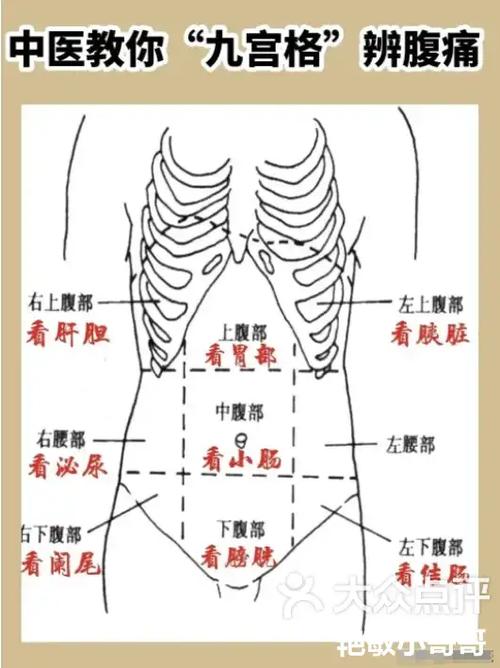 肚脐眼左边疼是什么部位