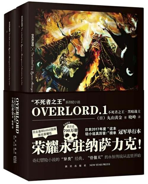 overlord正版小说