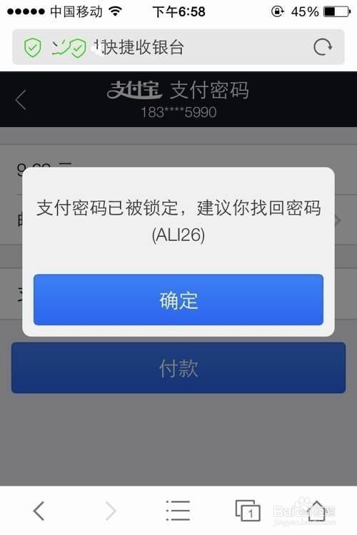 支付宝支付密码被锁定了怎么办