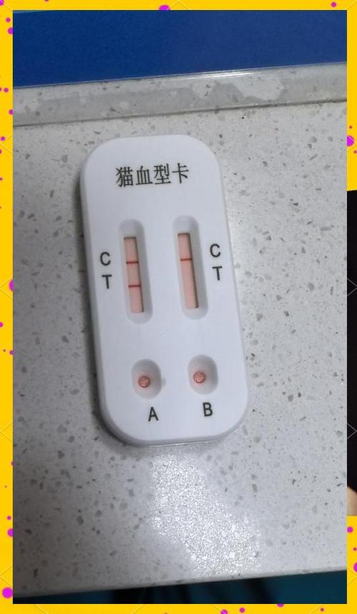 猫咪ab