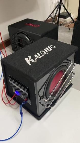 双磁双音圈低音炮好不好