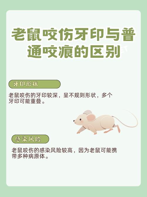 犯罪大师致伤物推断科普篇答案