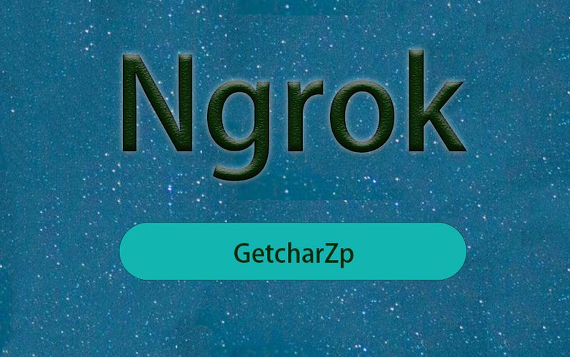 ngrok内网穿透截图2