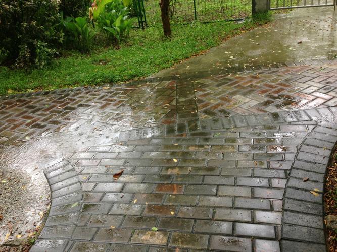 雨中情影评截图2