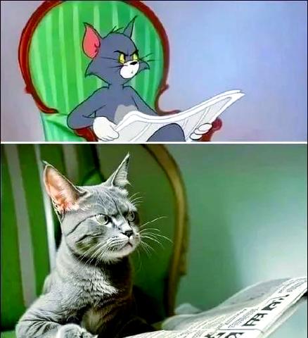 汽笛人大战卡通猫