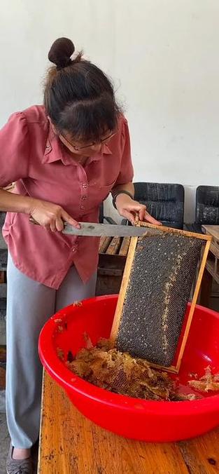 如何收集蜂蜜