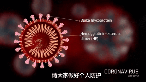 全球最新病毒