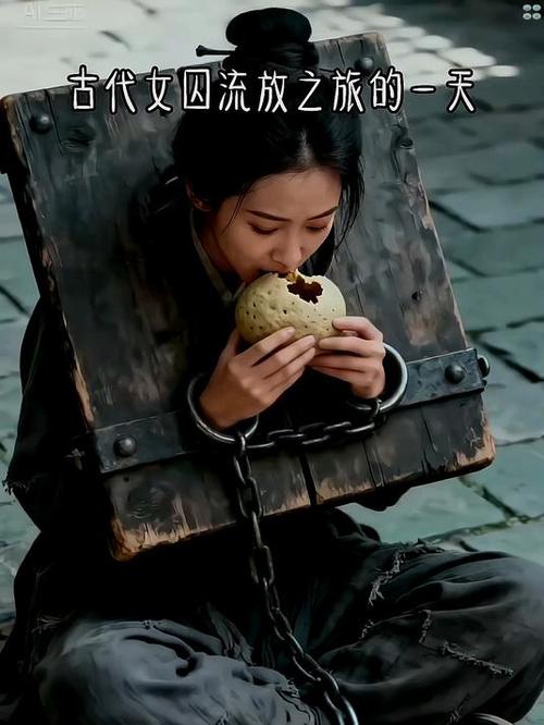 古代押送流放的女犯人小说