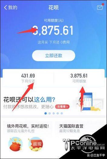花呗商家限定了付款方式的原因