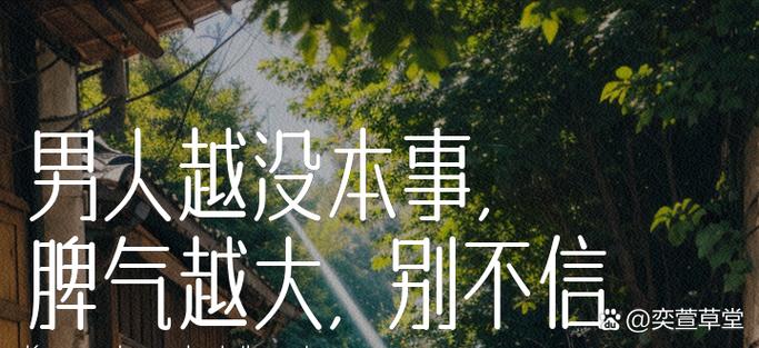 经理的悲哀小说