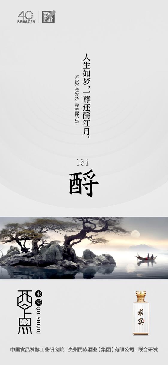 人生如梦一樽还酹江月