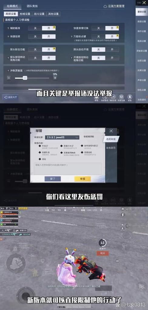 和平精英可以举报人吗