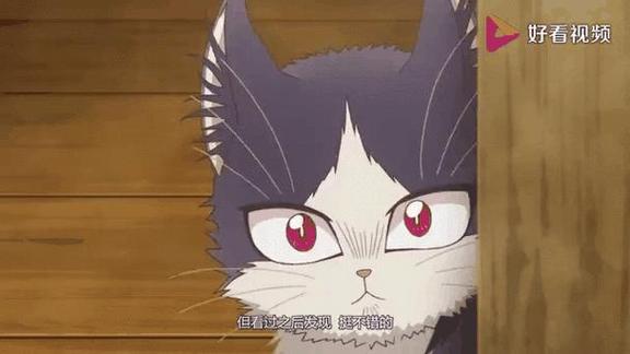 猫番阅读免费截图1