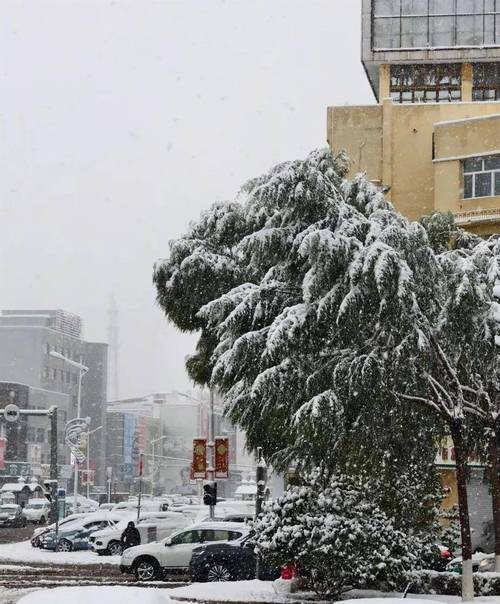 东北的鹅毛雪飘不到南方截图2
