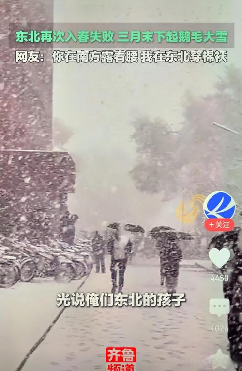 东北的鹅毛雪飘不到南方截图3