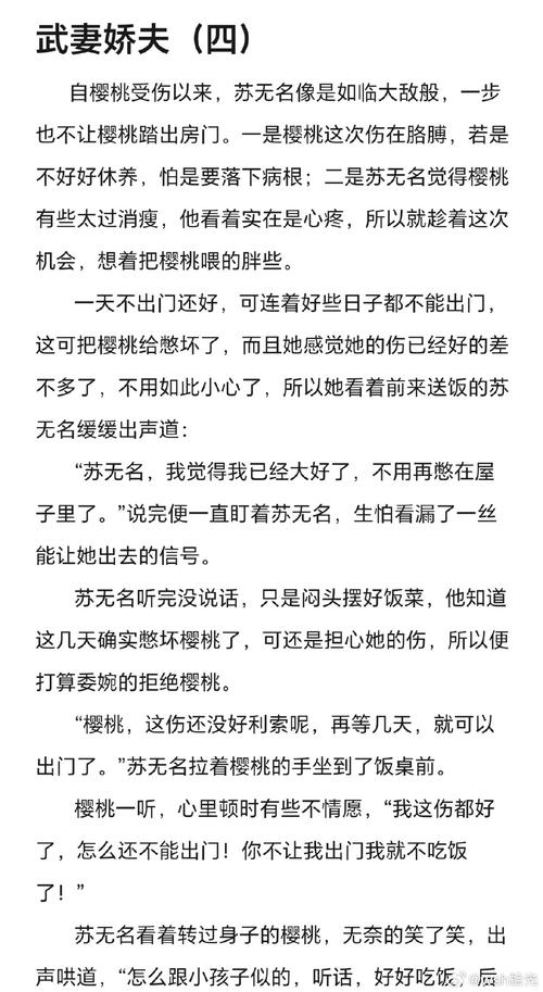 疯狂的兰姨小说txt