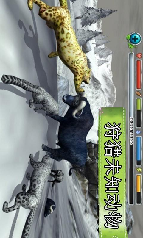 模拟雪豹生存下载