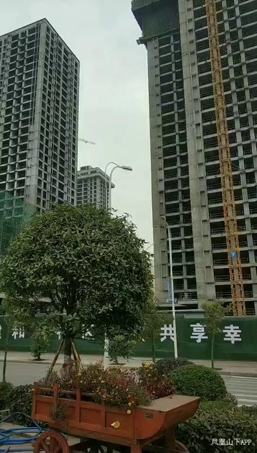 达州凤凰山下论坛启悦府
