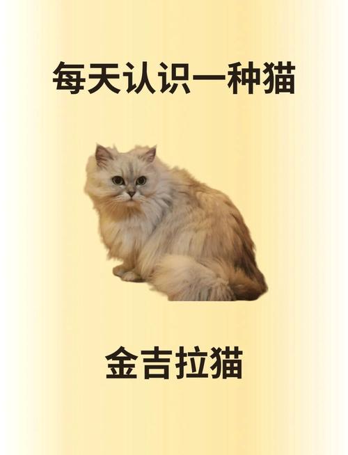 大G喵的真名