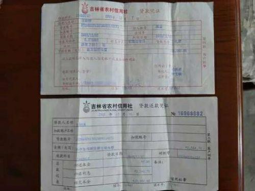 农村信用社小额信贷5万截图3