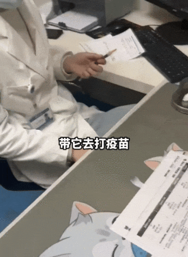 打了疫苗小豆苗没记录
