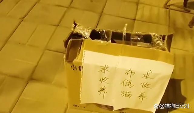 好心人借钱