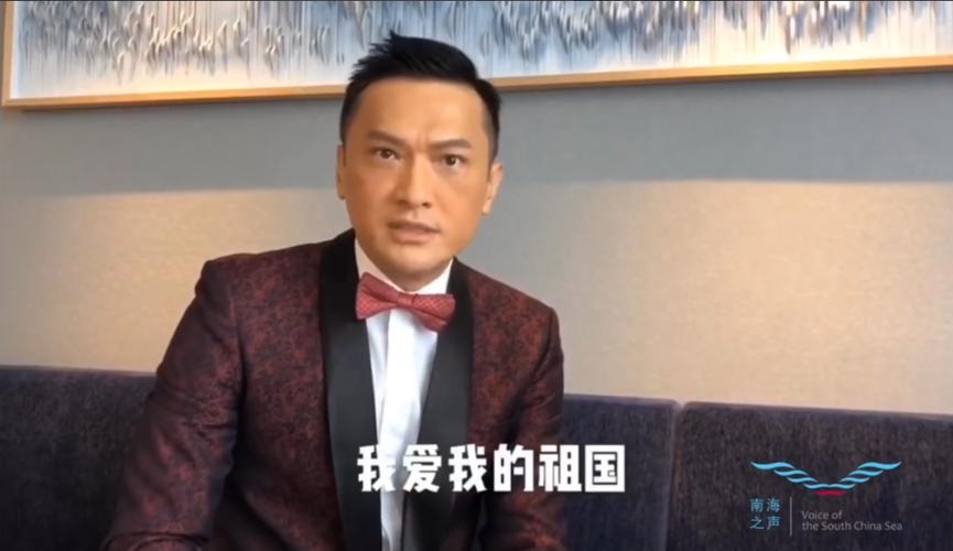 香港支持祖国的艺人