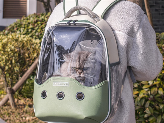 背了猫包可以上地铁吗