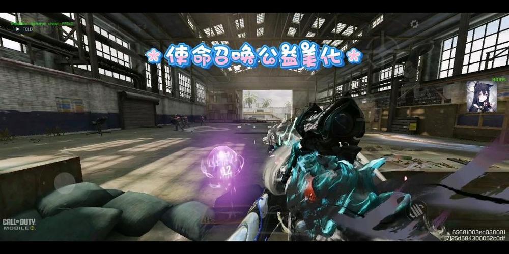 使命召唤 美化包