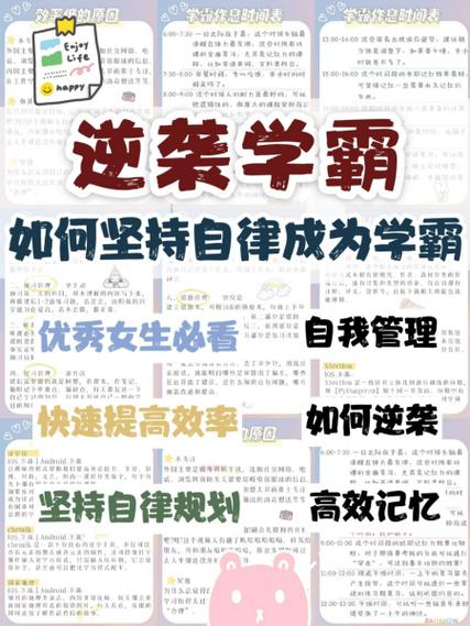 我要当学霸怎么不能用了