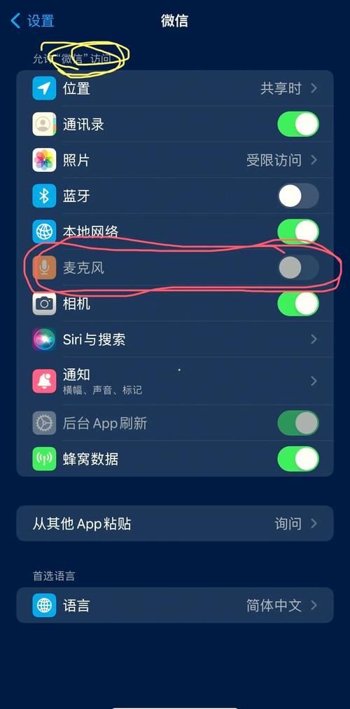 苹果6怎么打开麦克风权限截图3