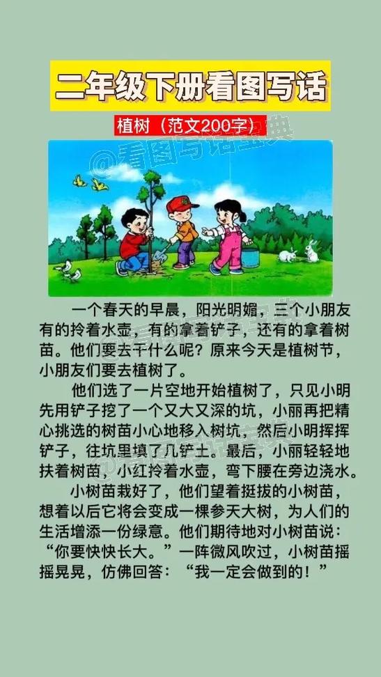 二年级