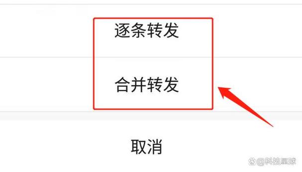 微信语音打包软件下载