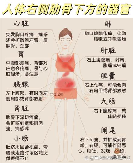 右肋骨下面疼是什么病