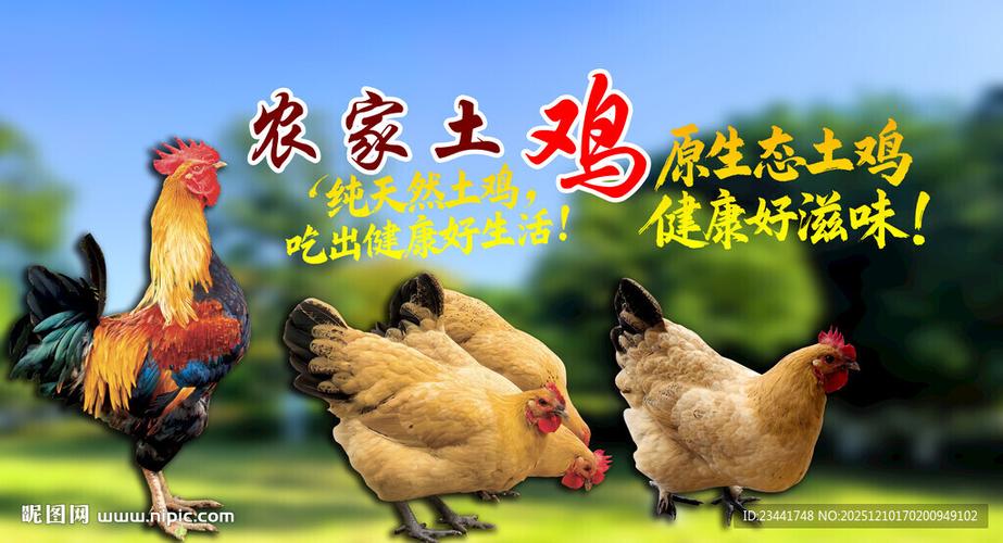 卖土公鸡的广告语