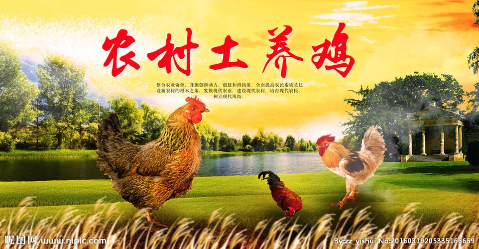 卖土公鸡的广告语截图2