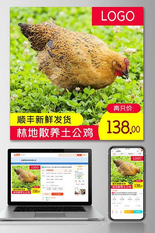 卖土公鸡的广告语截图3