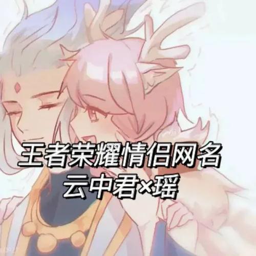 瑶和云中君情侣网名